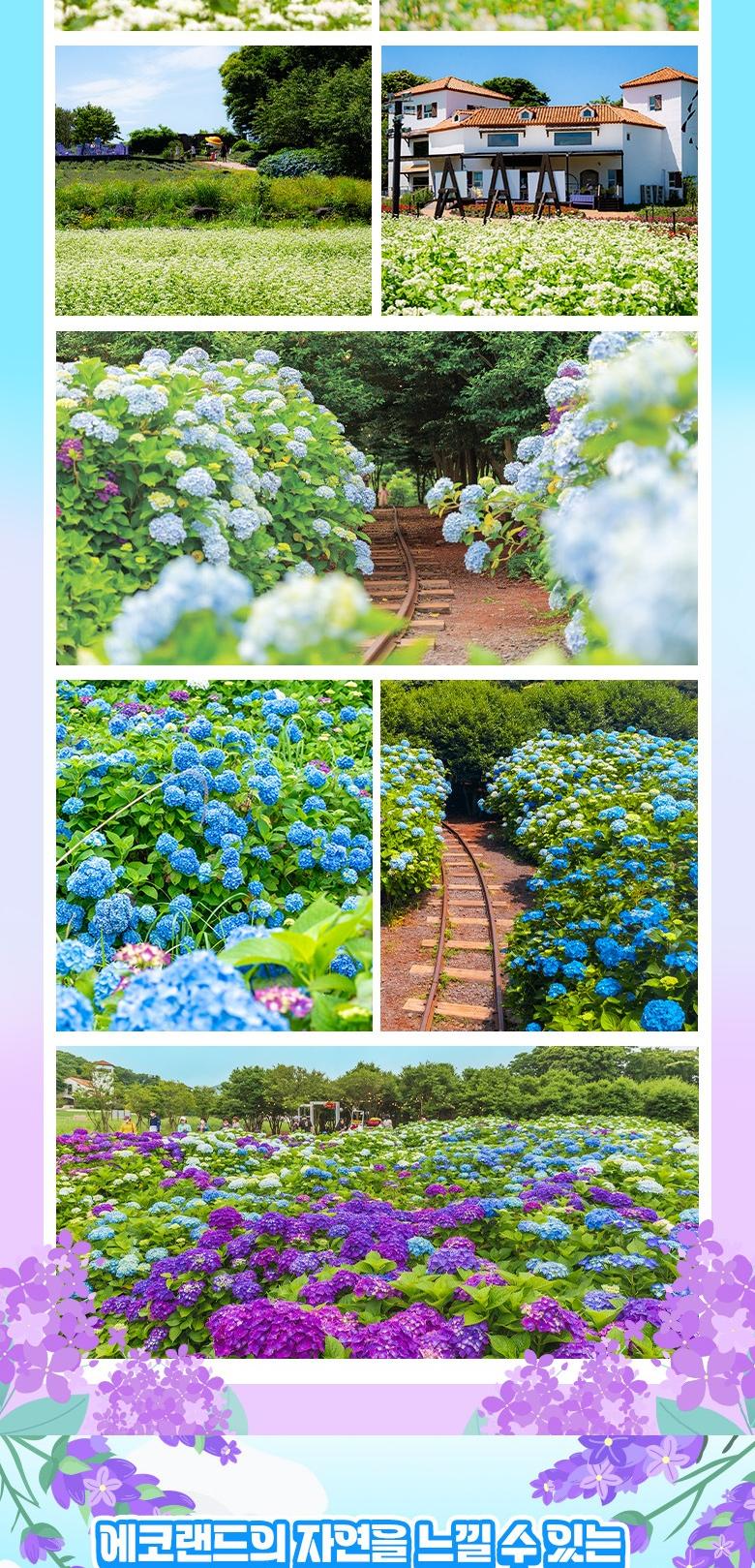 상품 상세 이미지 5