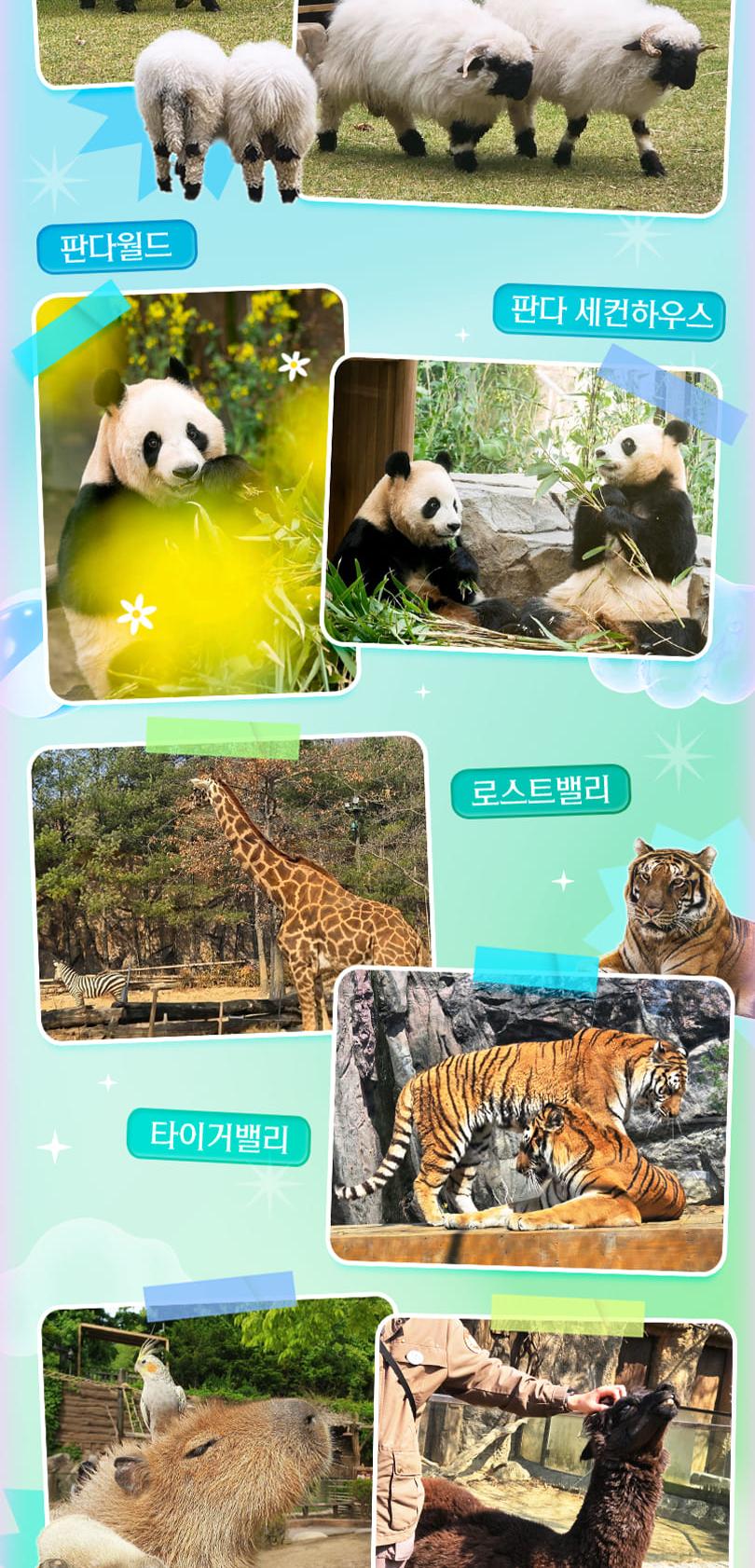 상품 상세 이미지 17