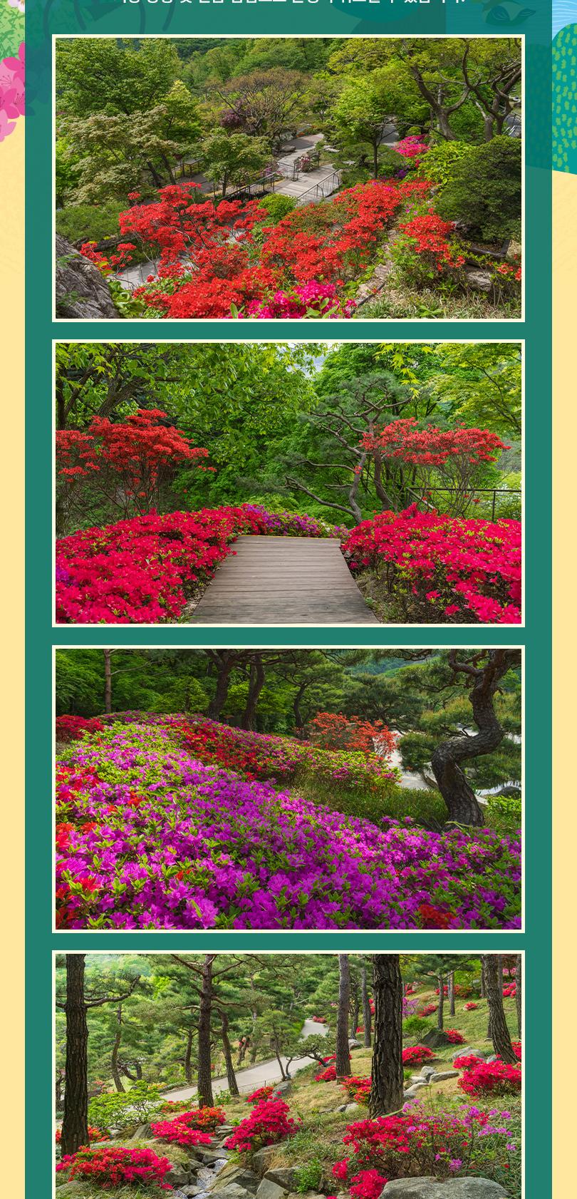 상품 상세 이미지 7