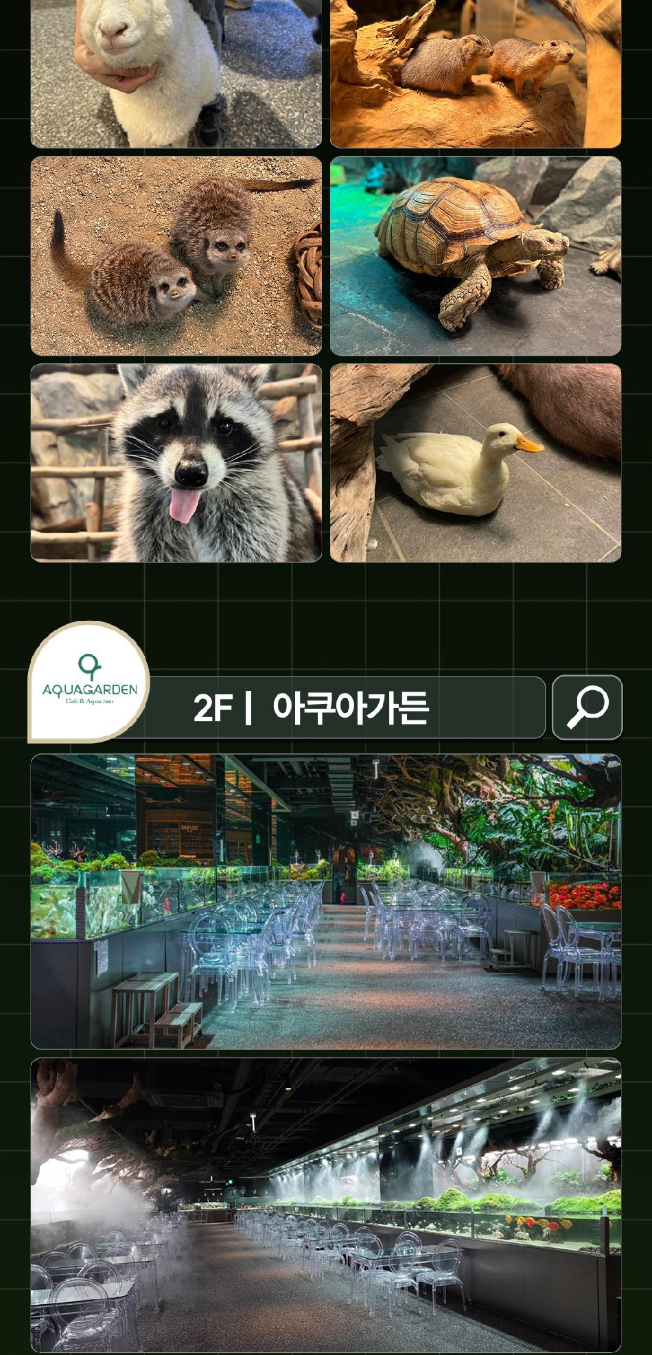 상품 상세 이미지 8