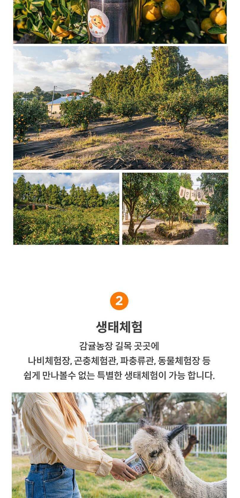 상품 상세 이미지 4