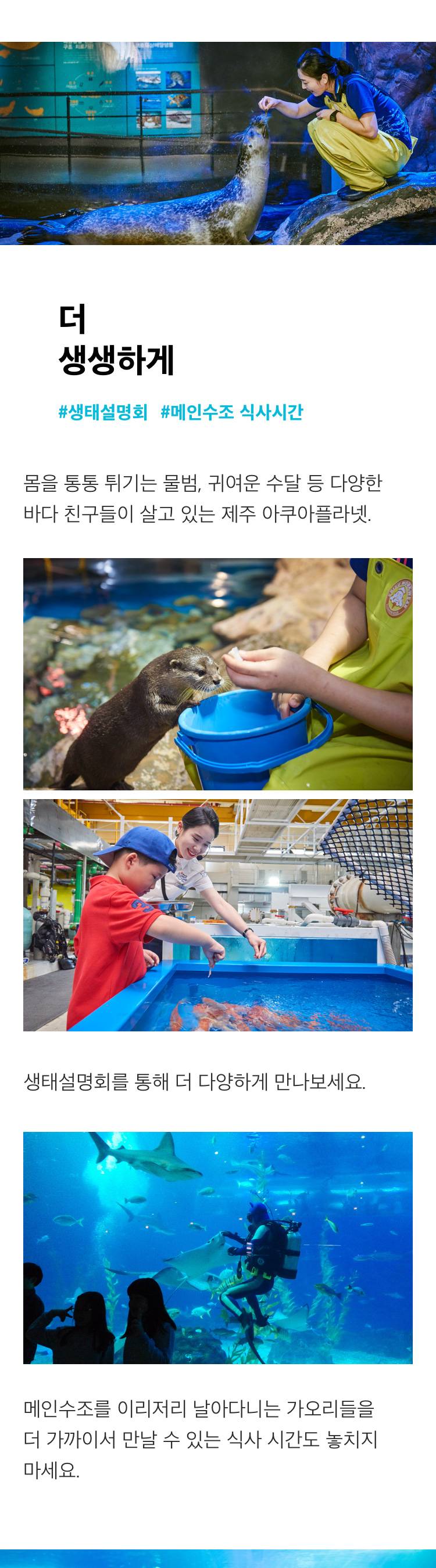 상품 상세 이미지 4