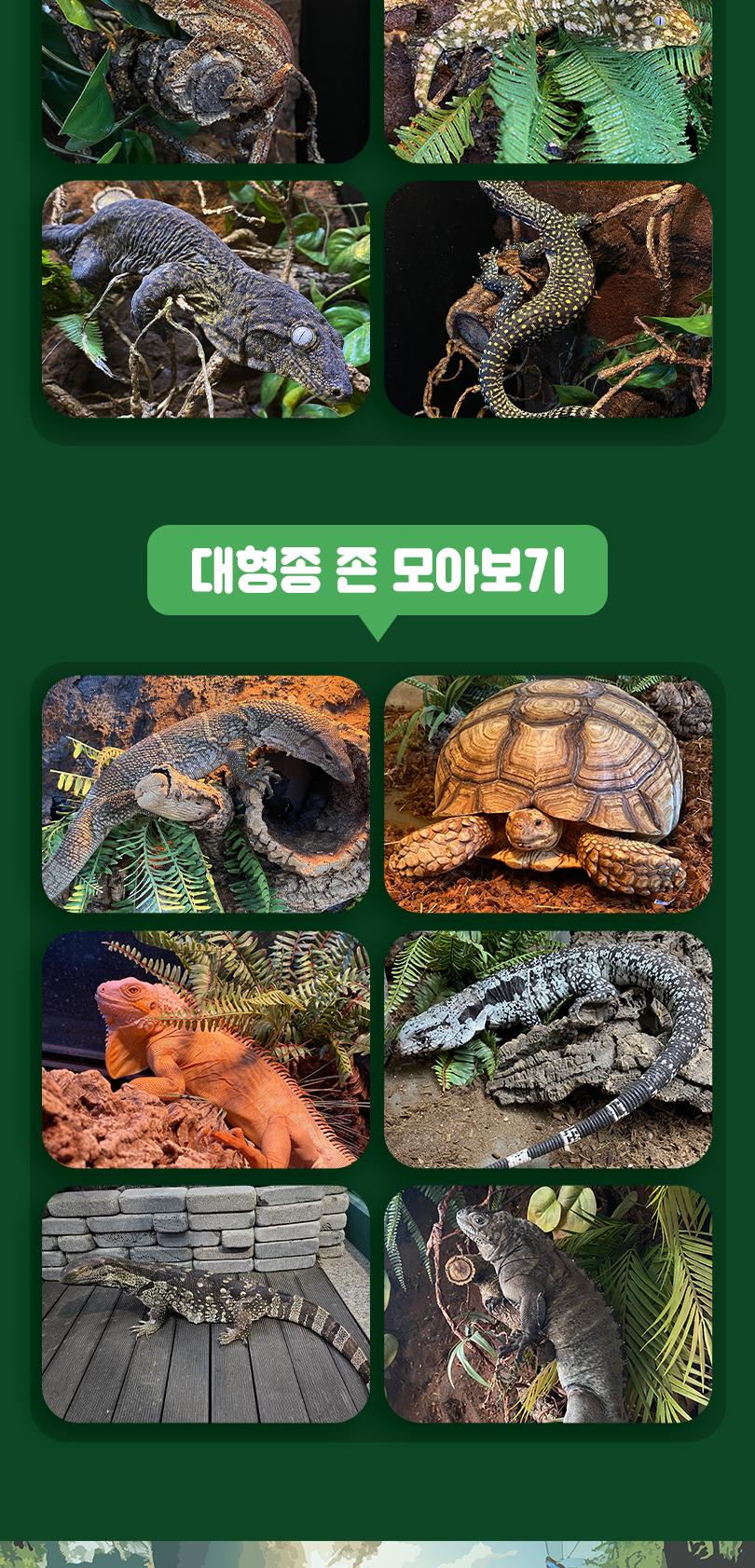 상품 상세 이미지 14