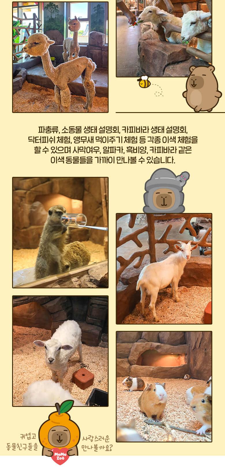 상품 상세 이미지 5