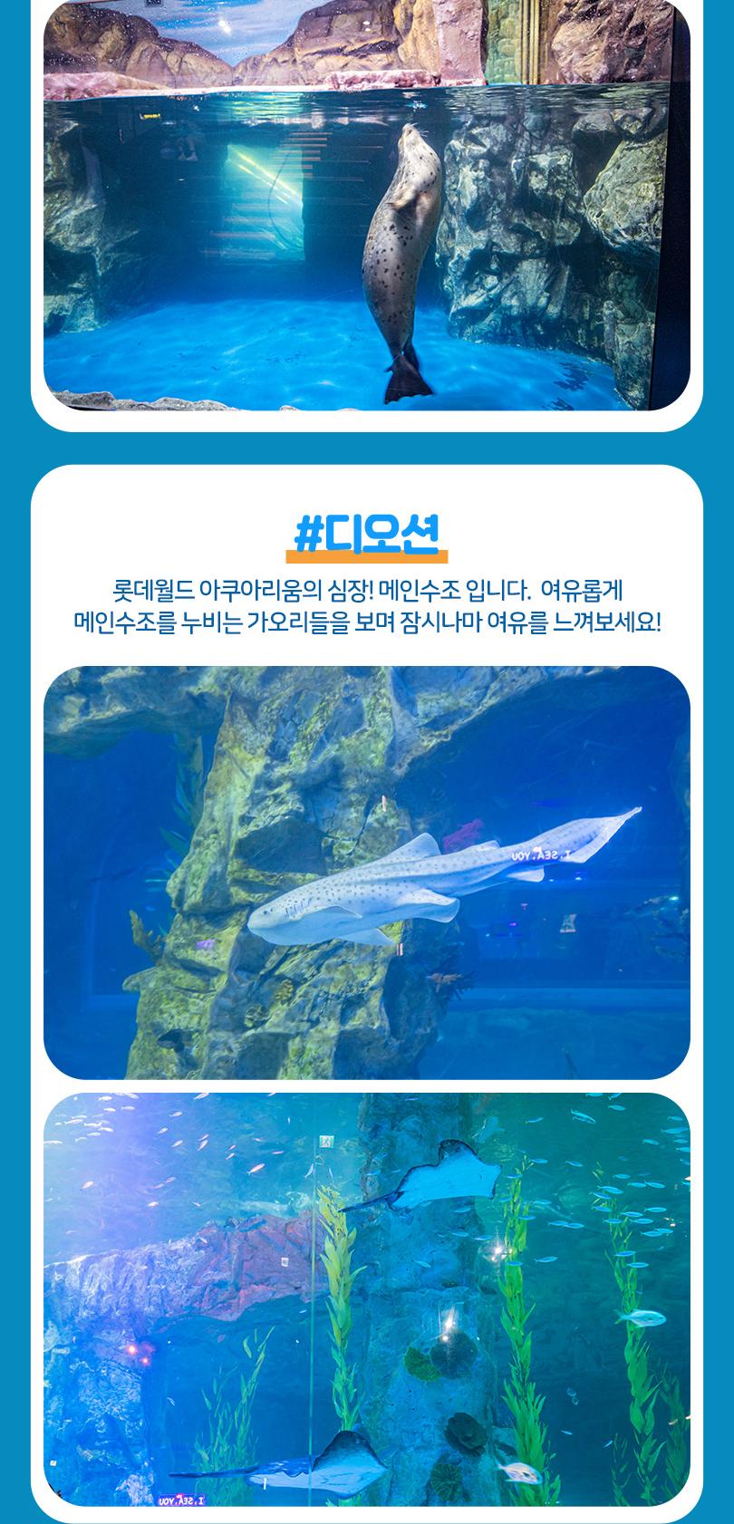 상품 상세 이미지 16