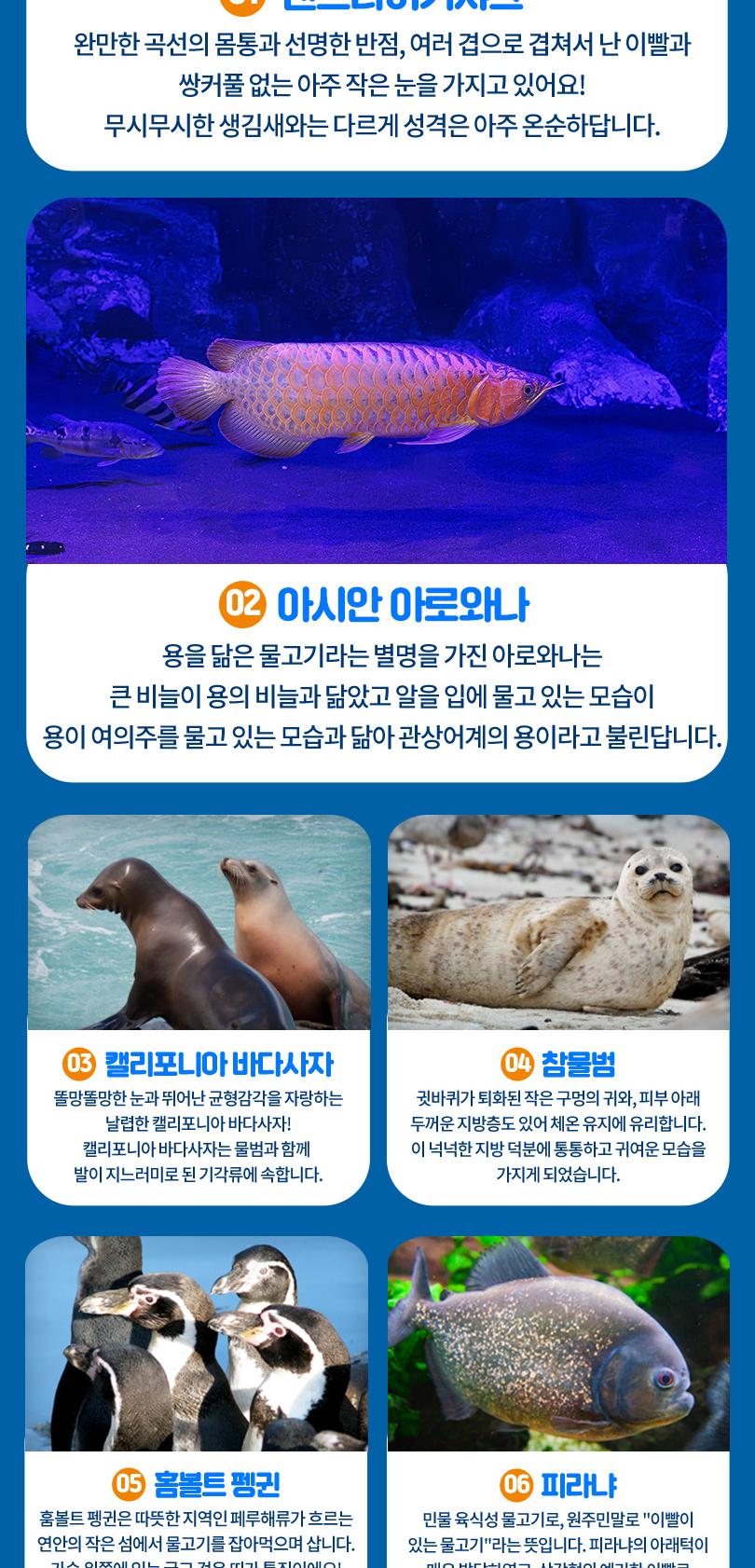 상품 상세 이미지 9