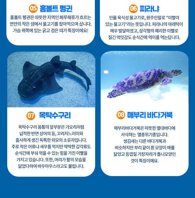 상품 상세 이미지 10