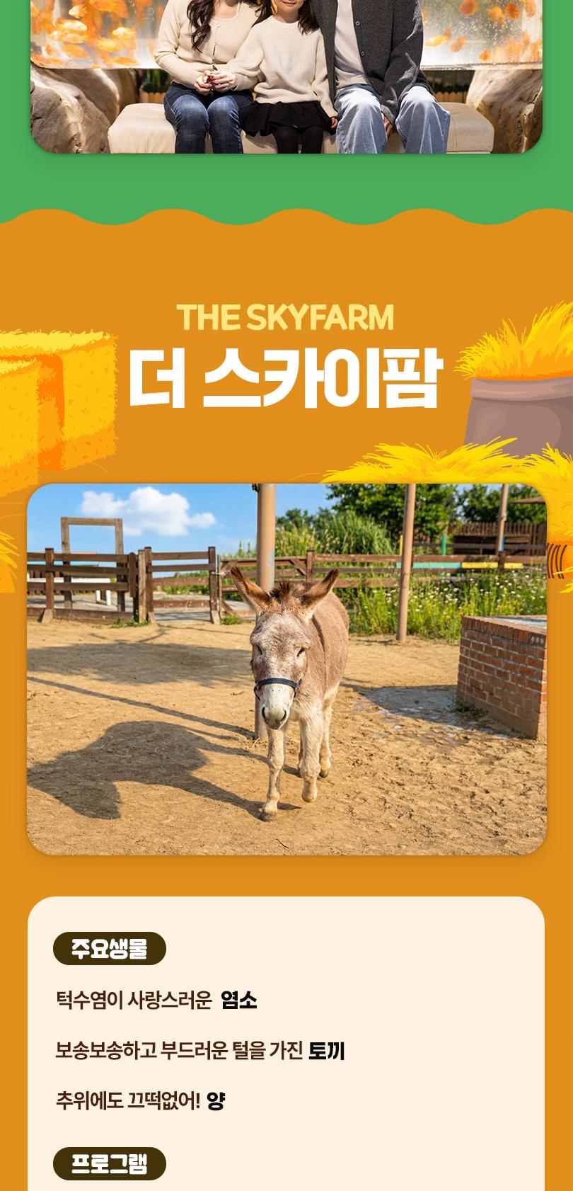 상품 상세 이미지 11