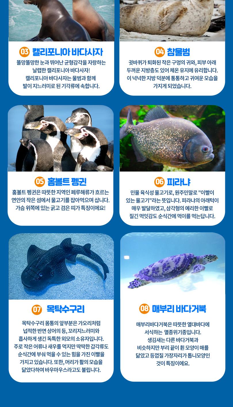 상품 상세 이미지 10