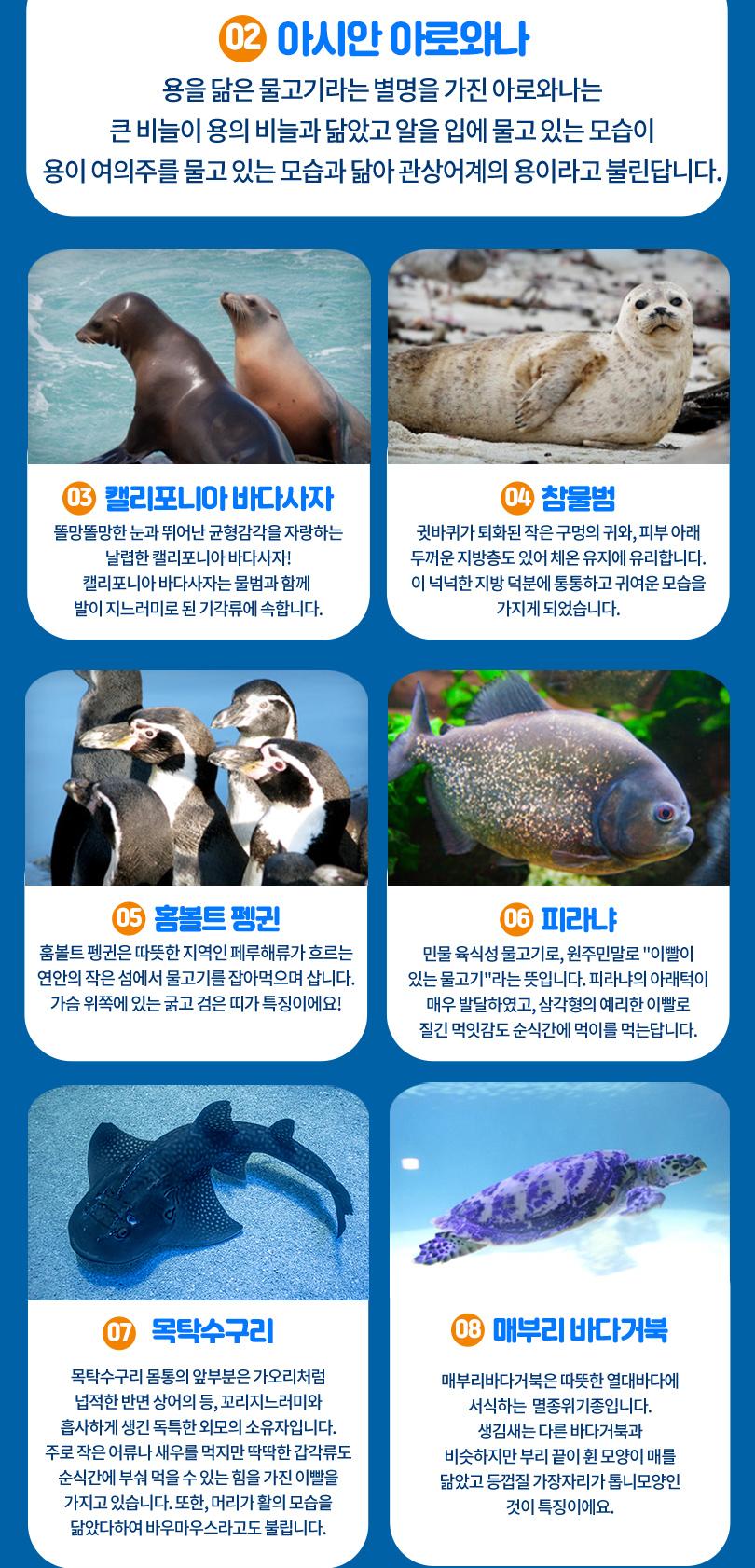 상품 상세 이미지 10