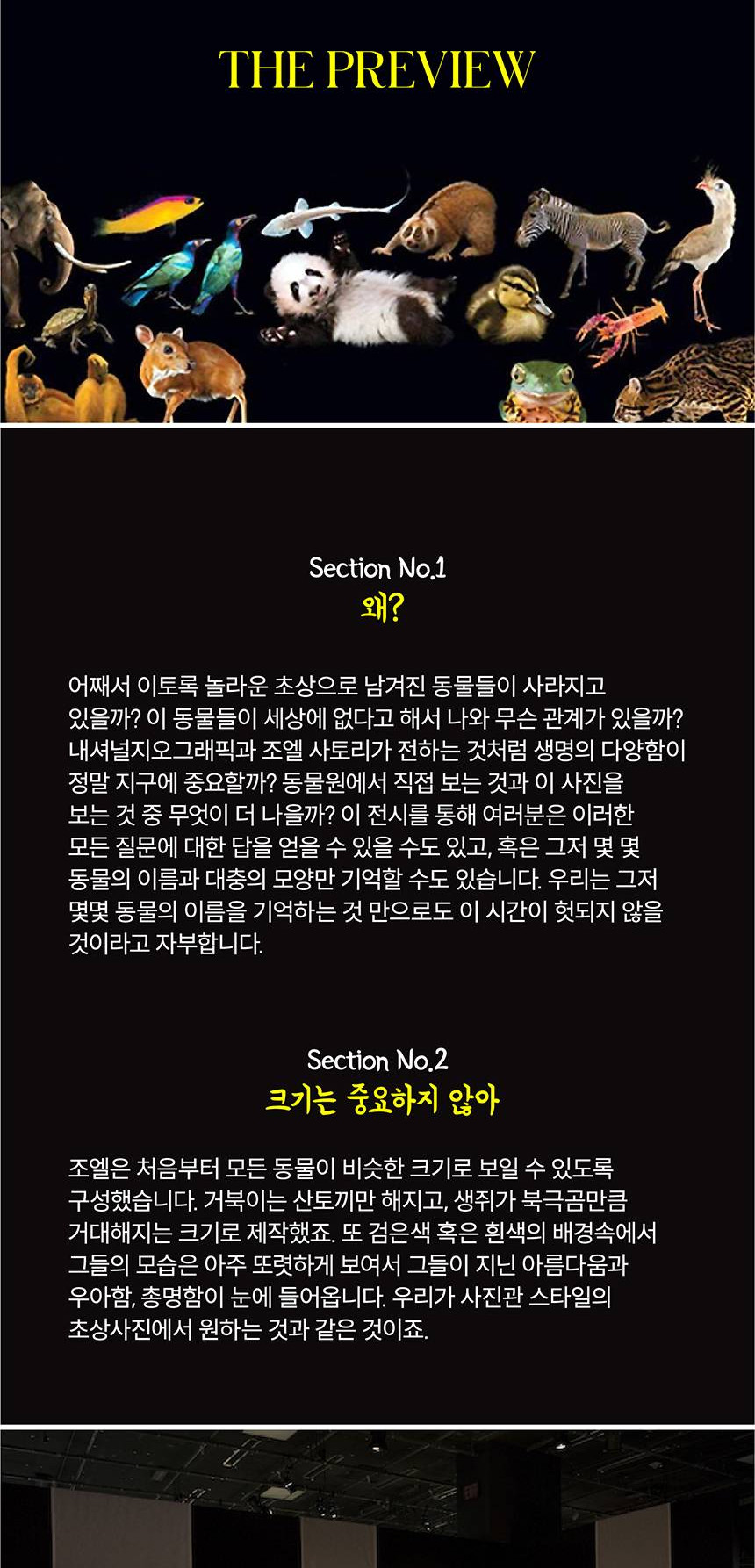 상품 상세 이미지 8