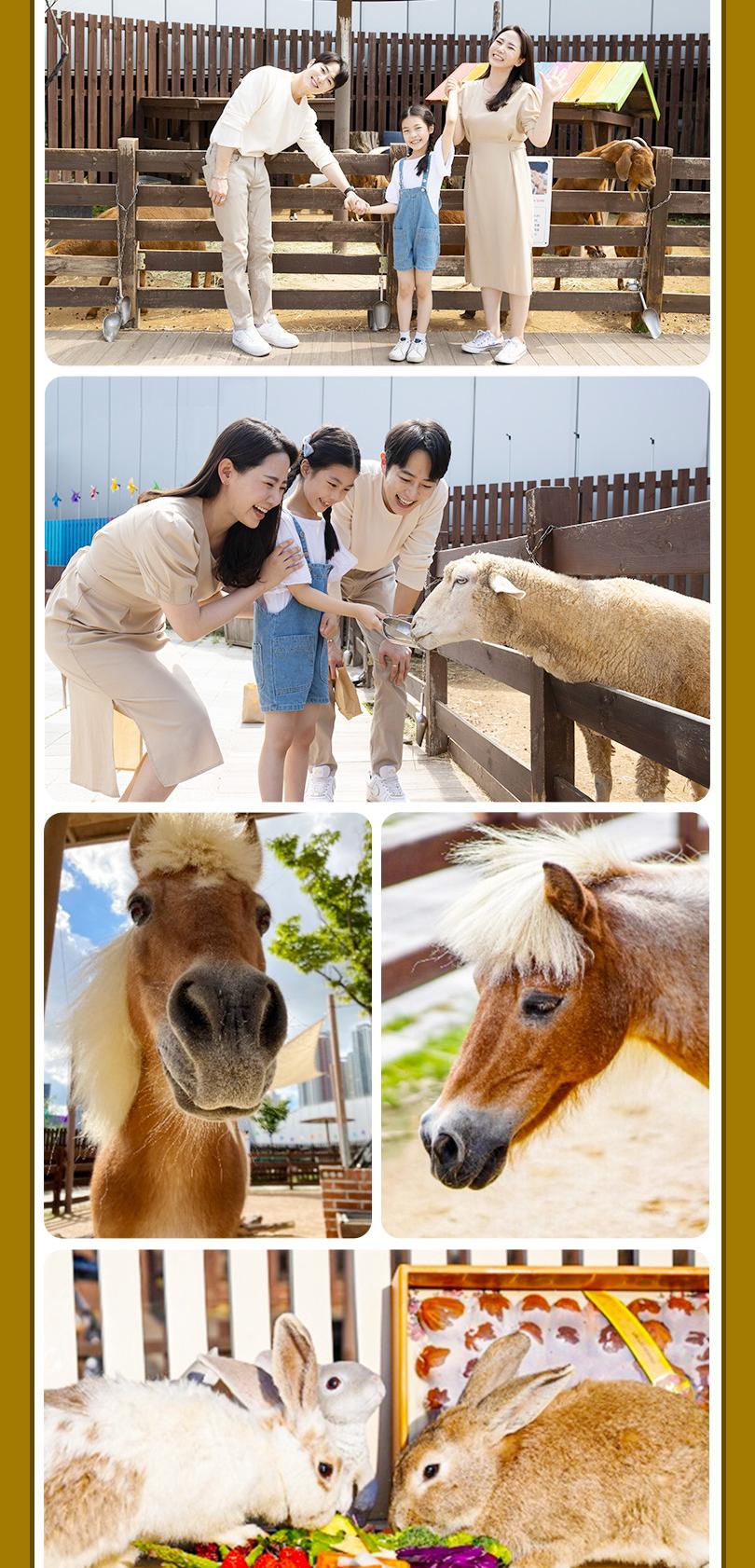 상품 상세 이미지 14