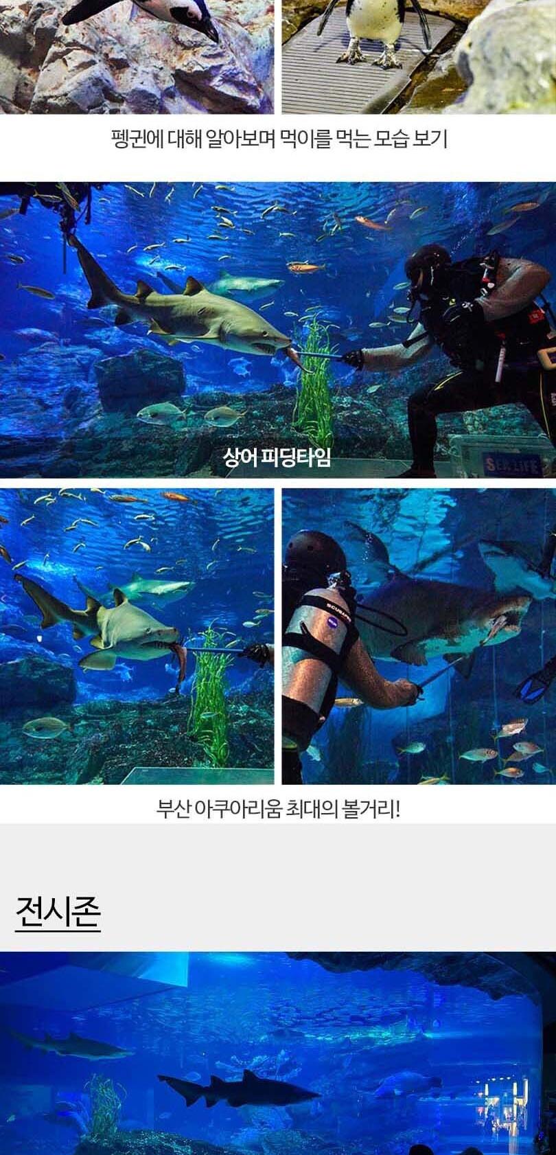 상품 상세 이미지 13