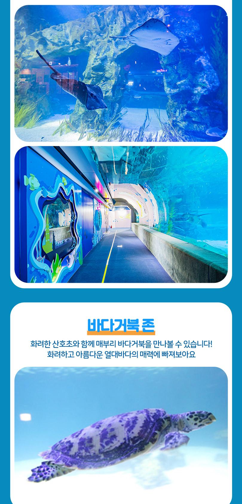 롯데월드 아쿠아리움+챔피언더블랙벨트 잠실점PKG