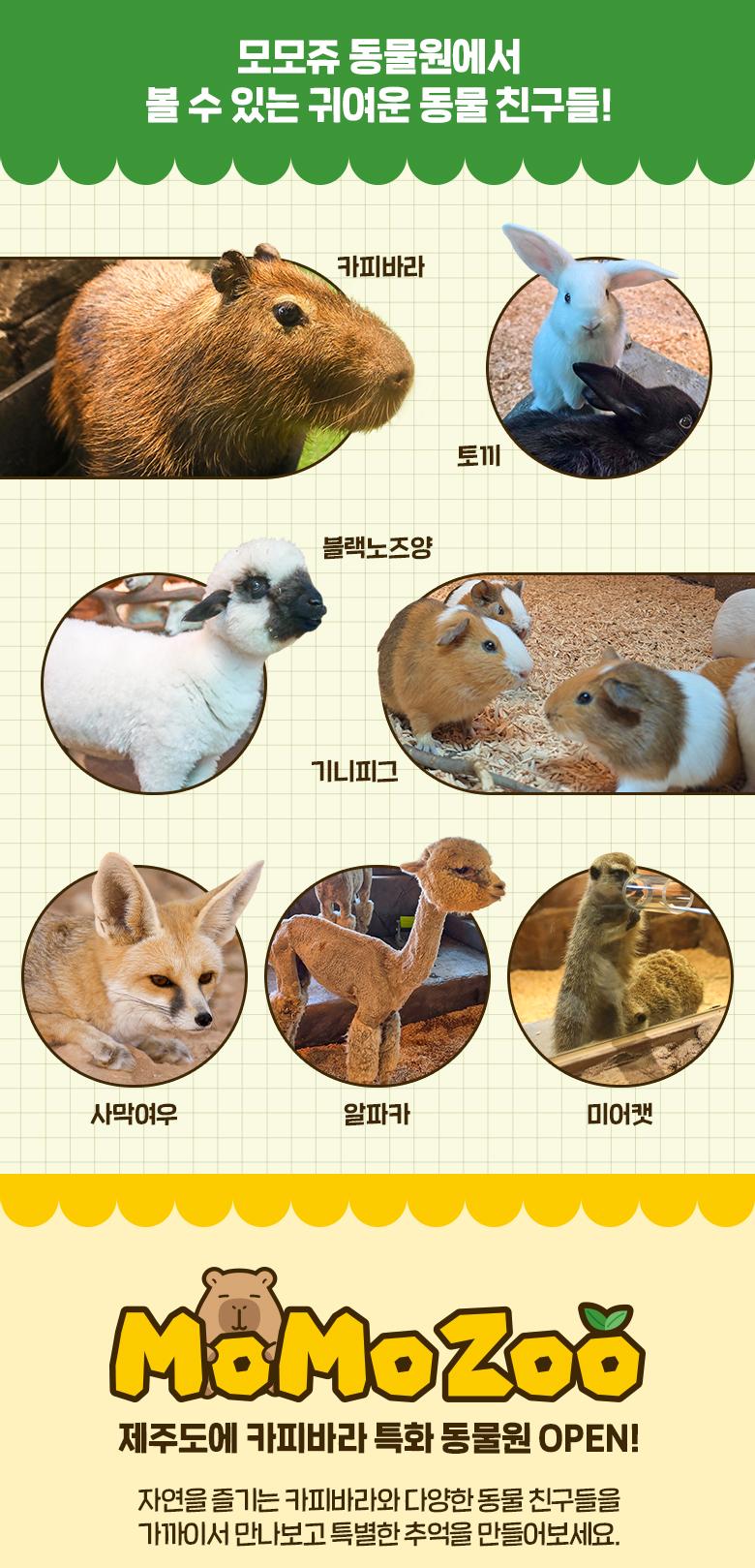 상품 상세 이미지 6