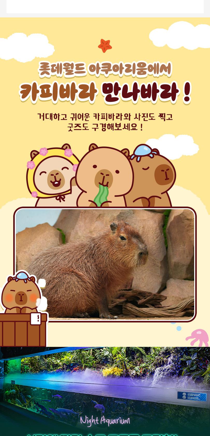 상품 상세 이미지 6