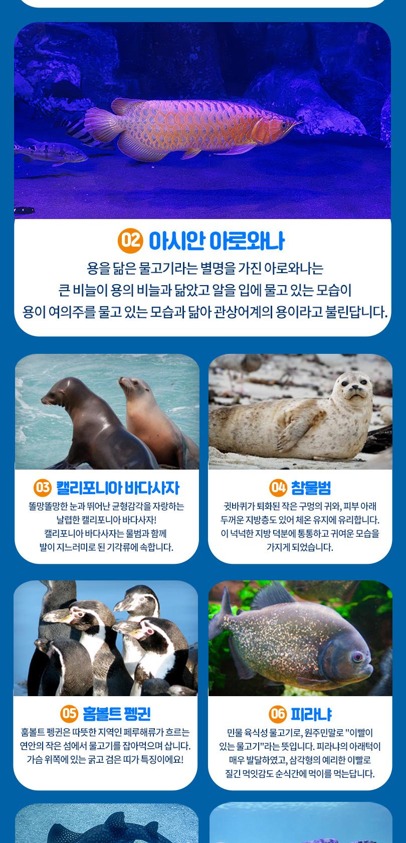 롯데월드 아쿠아리움+챔피언더블랙벨트 잠실점PKG