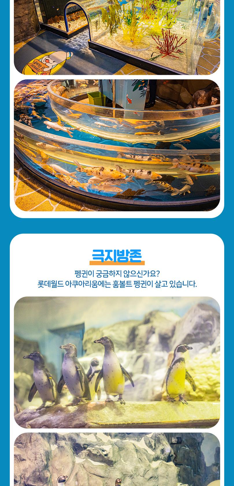 상품 상세 이미지 18