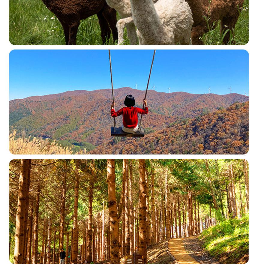 상품 상세 이미지 4