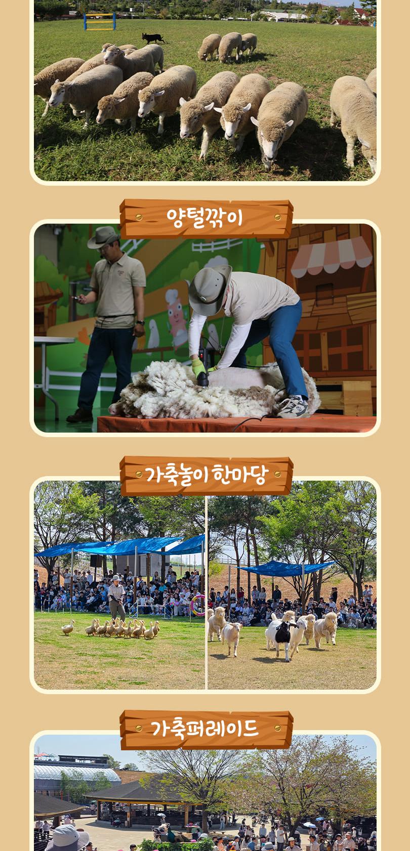 상품 상세 이미지 15