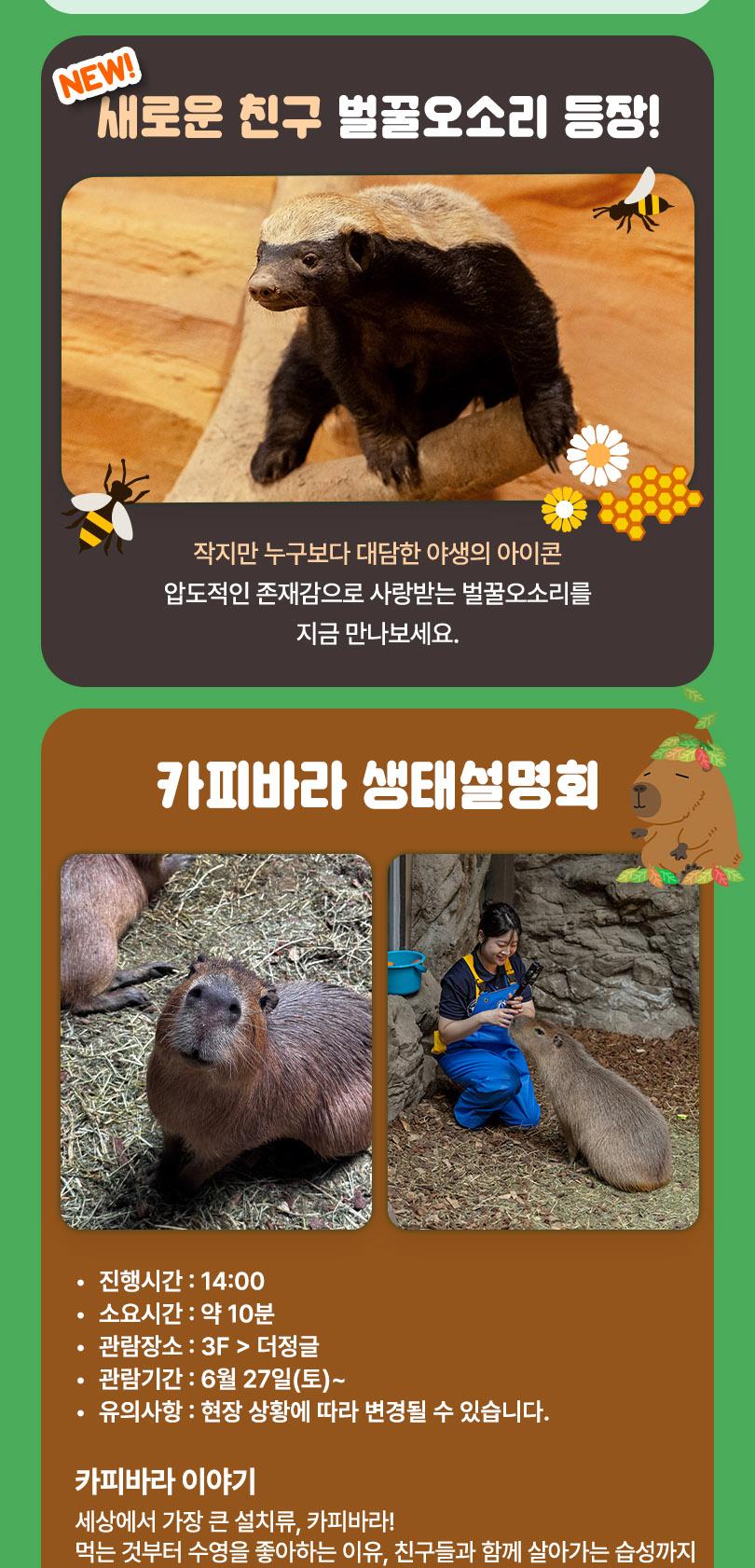 상품 상세 이미지 9