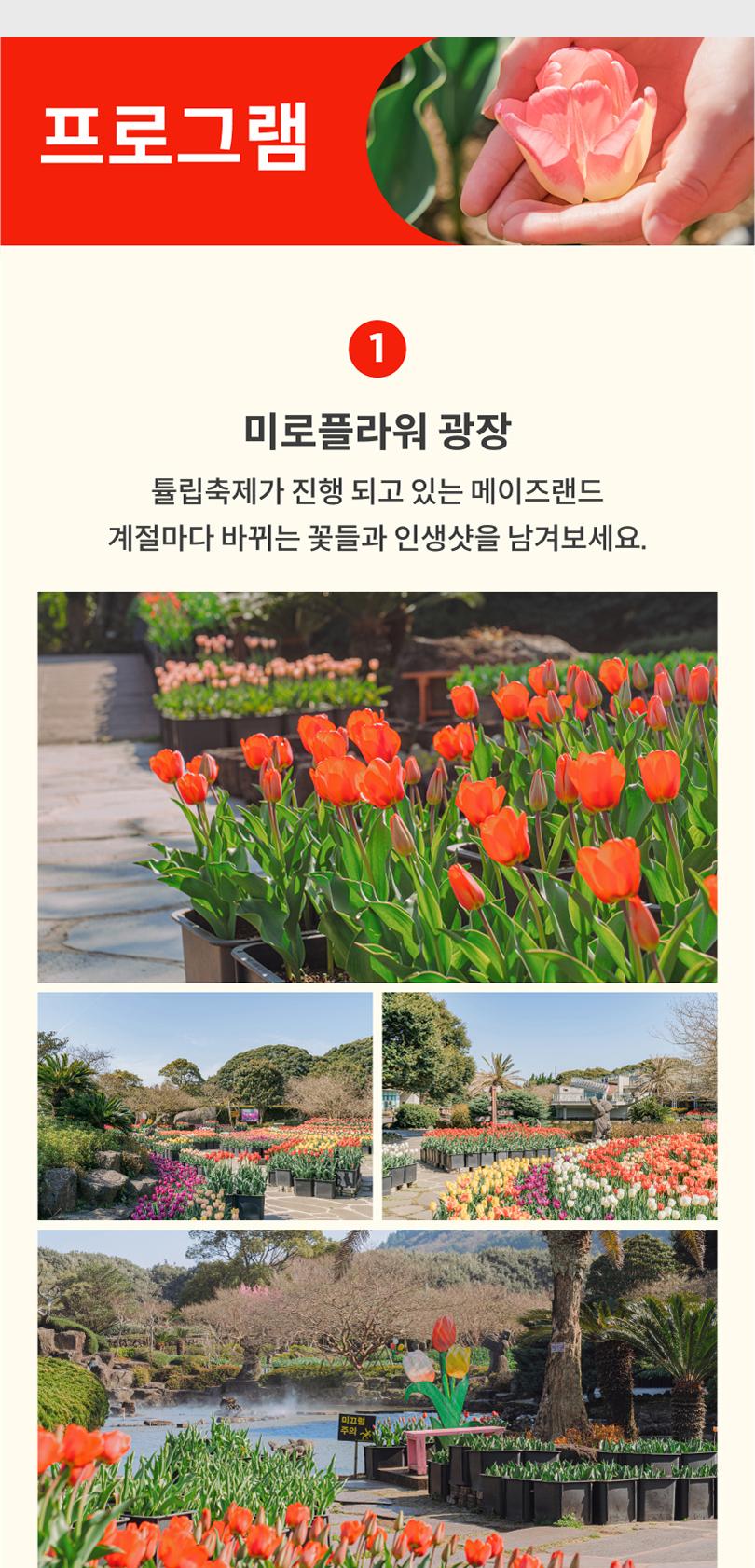 상품 상세 이미지 3