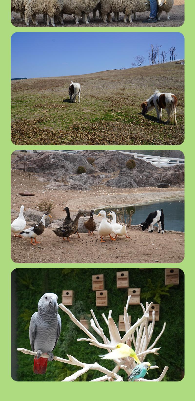 상품 상세 이미지 7