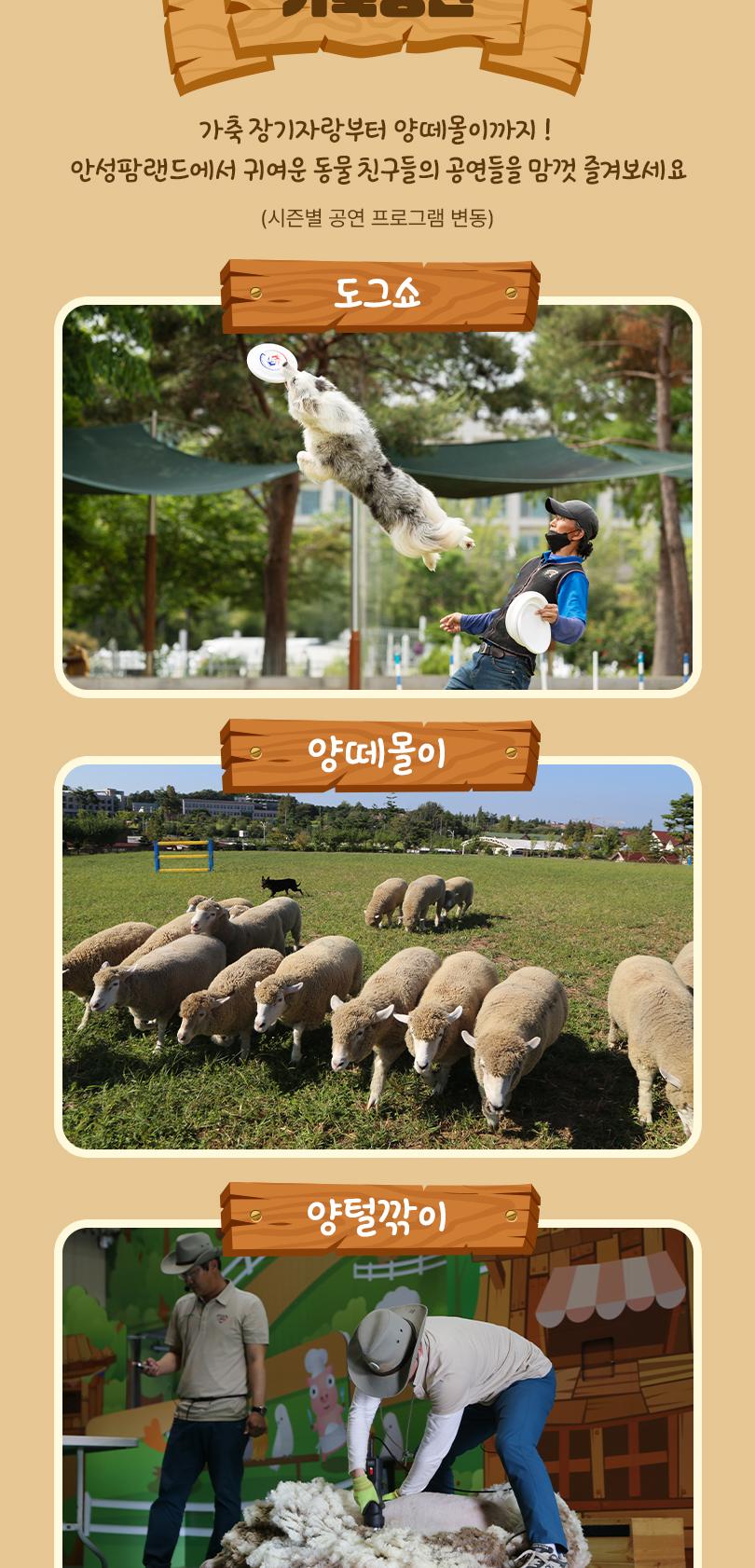 상품 상세 이미지 14