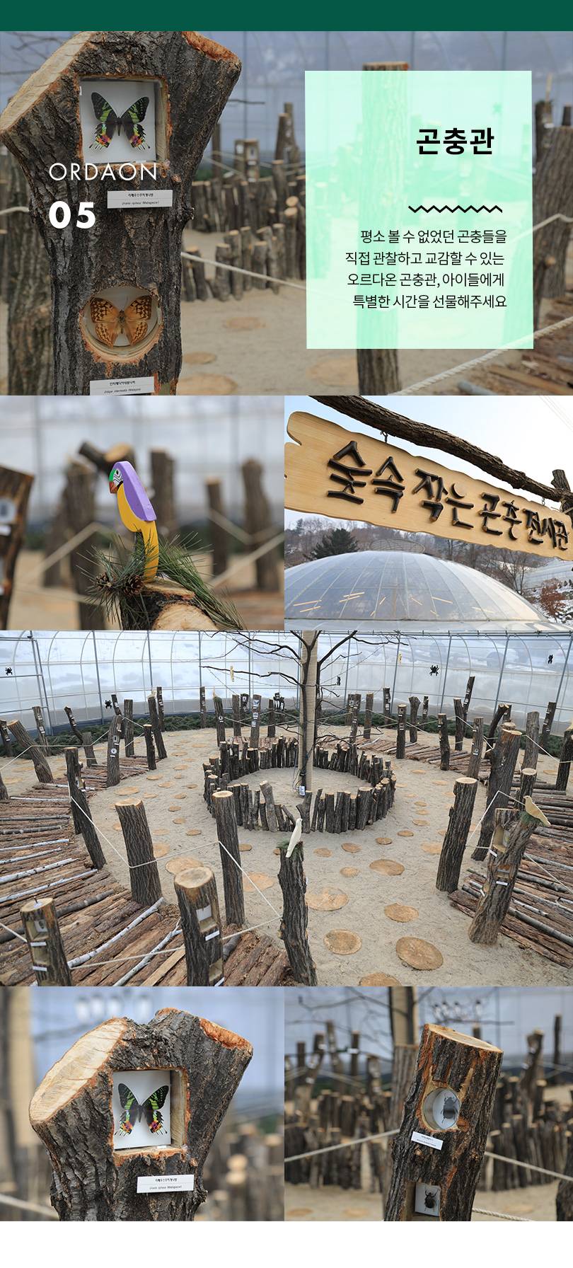 상품 상세 이미지 7