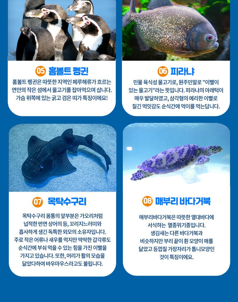 상품 상세 이미지 8