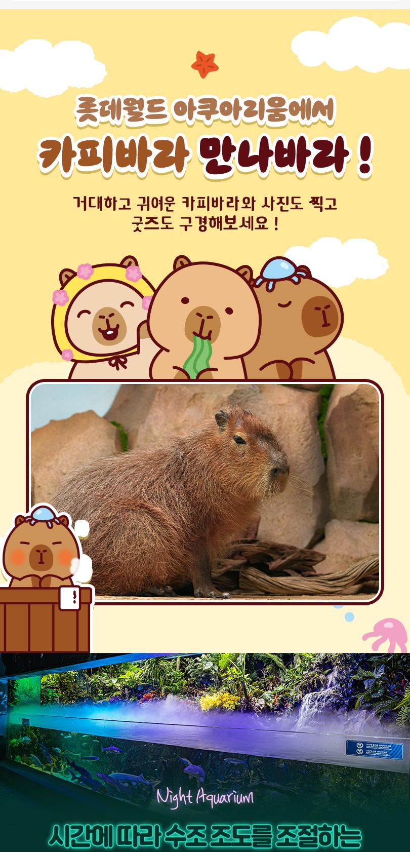 상품 상세 이미지 5