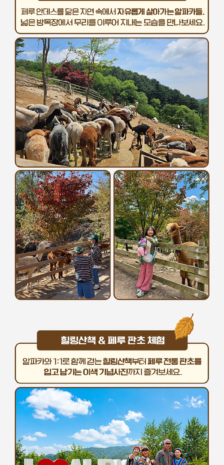 상품 상세 이미지 7