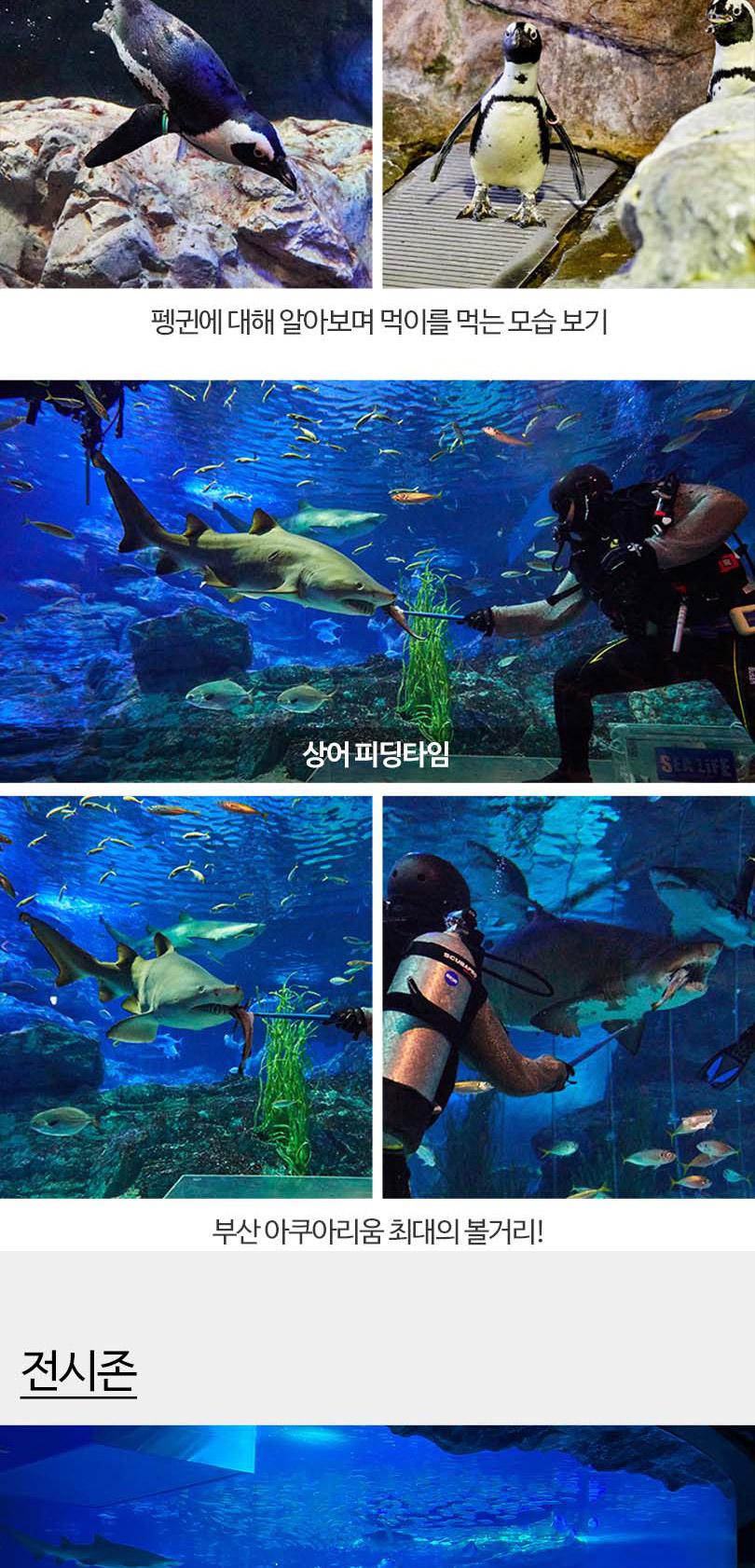 상품 상세 이미지 14
