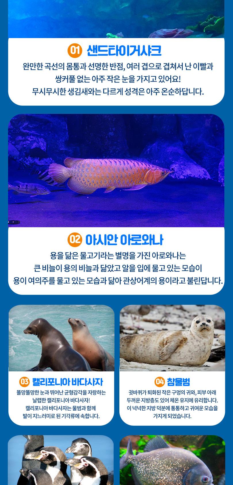상품 상세 이미지 9