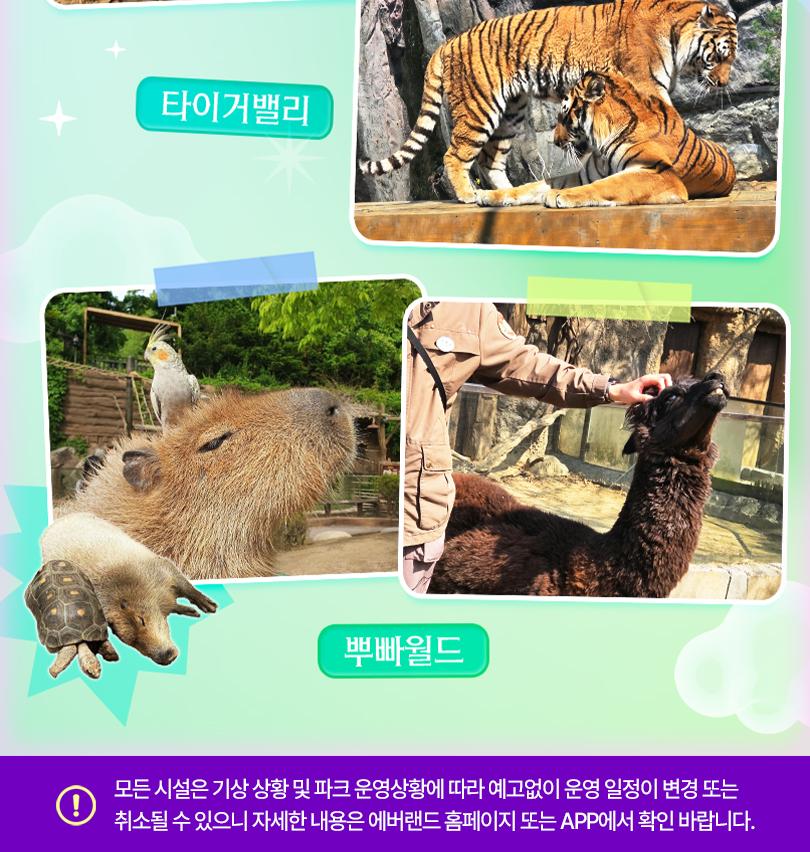 상품 상세 이미지 11