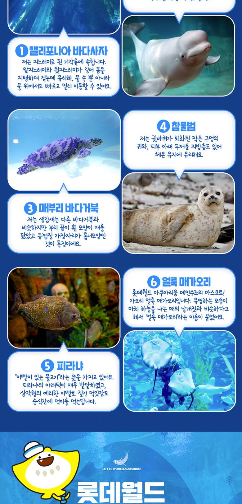 상품 상세 이미지 4