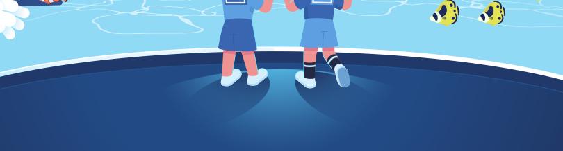 preview-detail