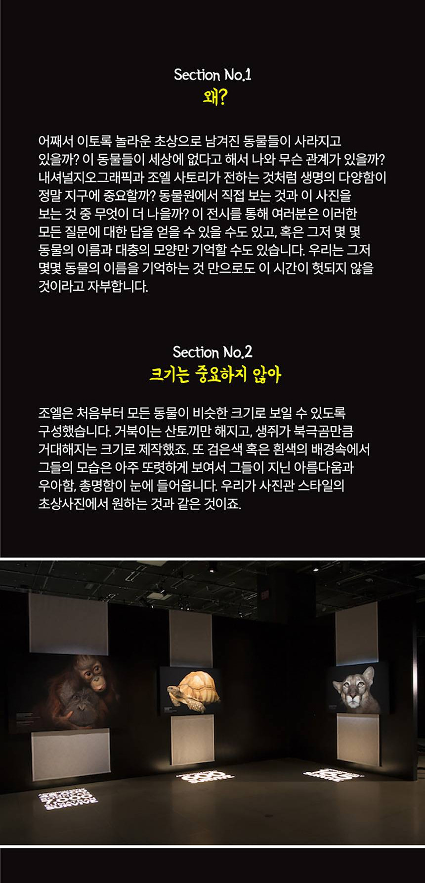 상품 상세 이미지 8