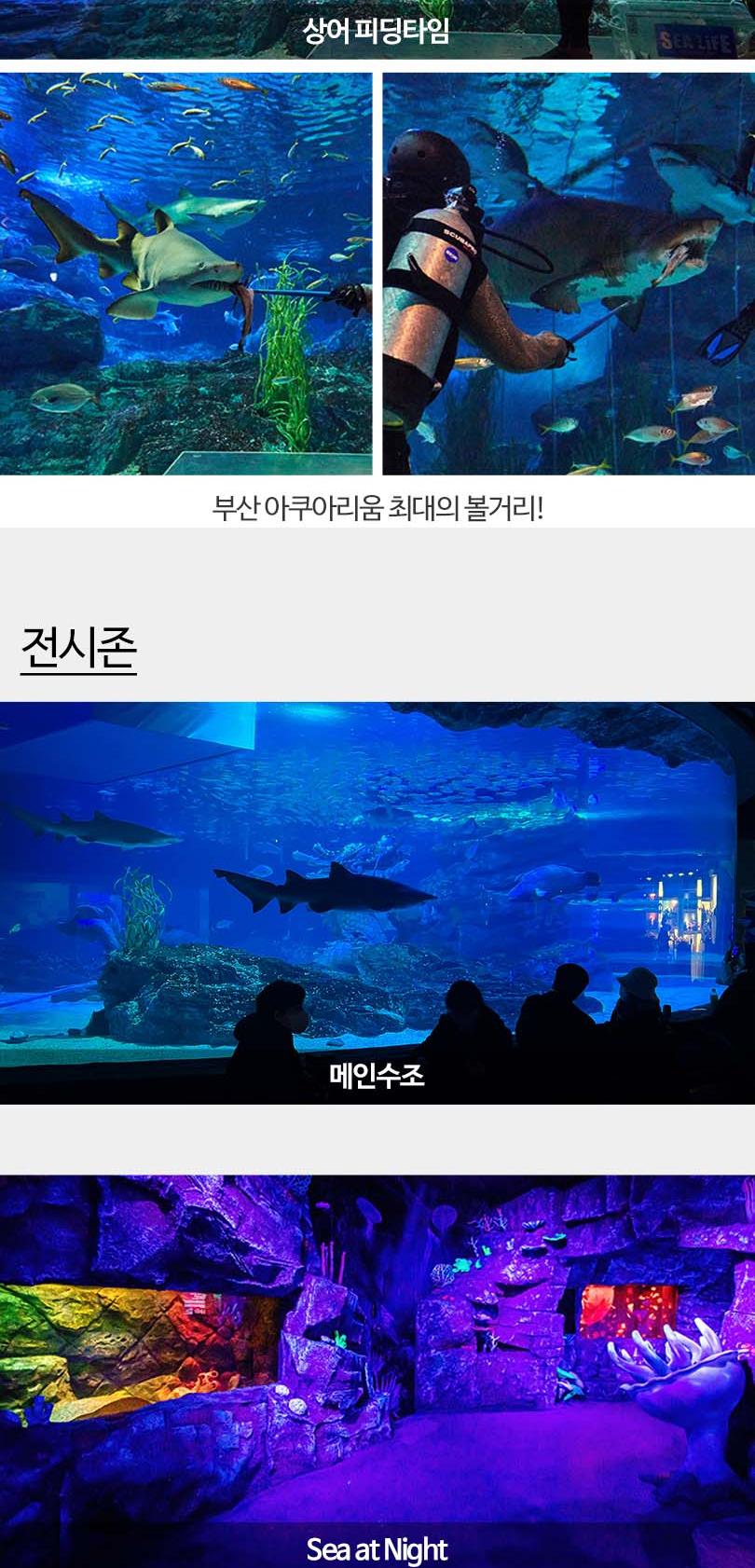 상품 상세 이미지 14