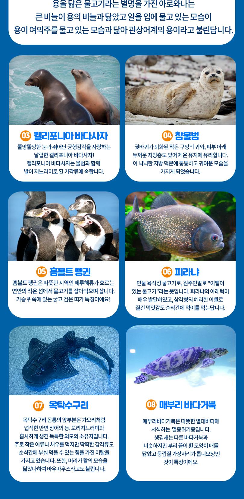 상품 상세 이미지 9