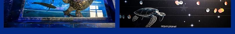 preview-detail