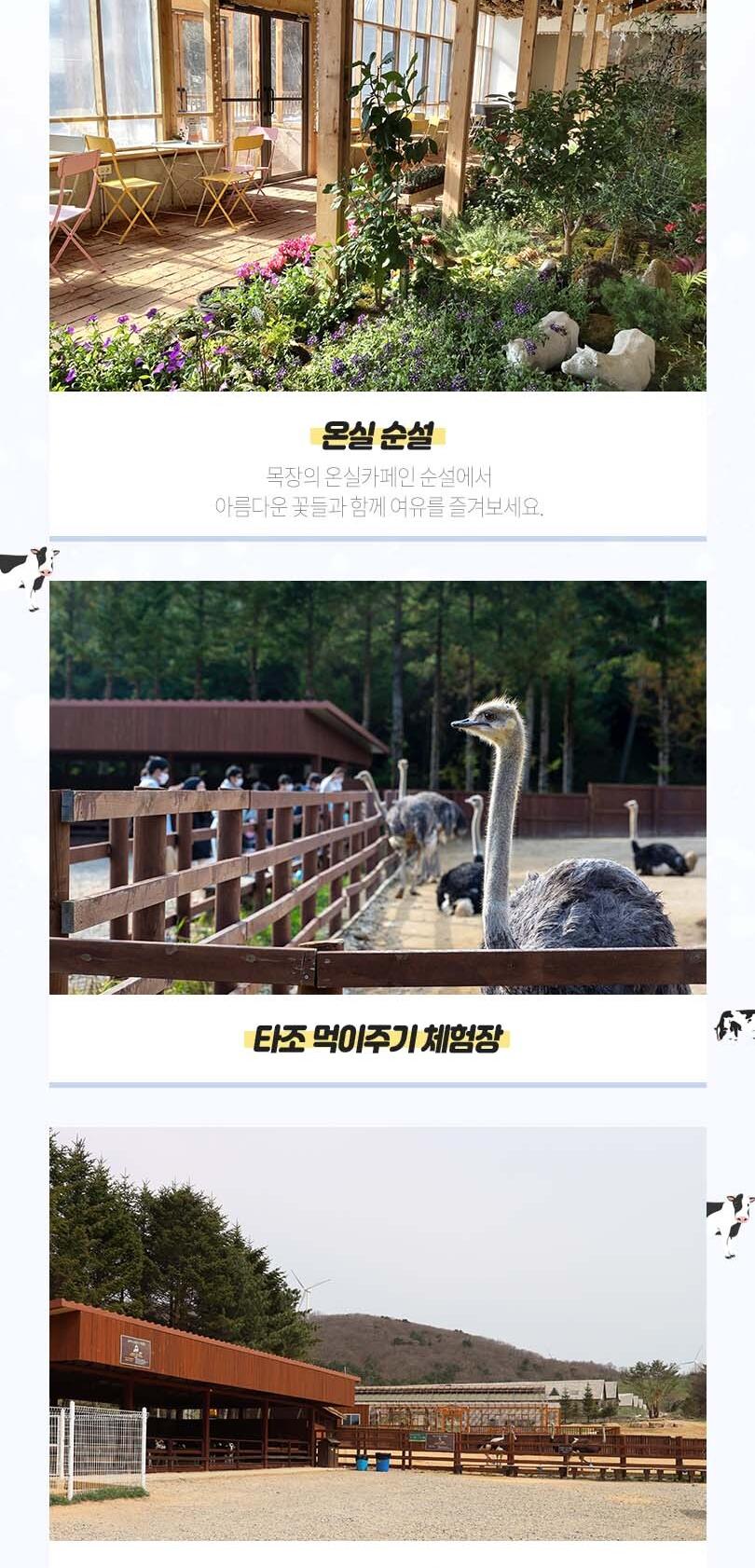 상품 상세 이미지 8