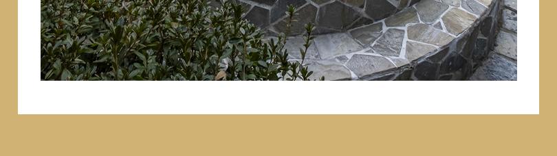 preview-detail