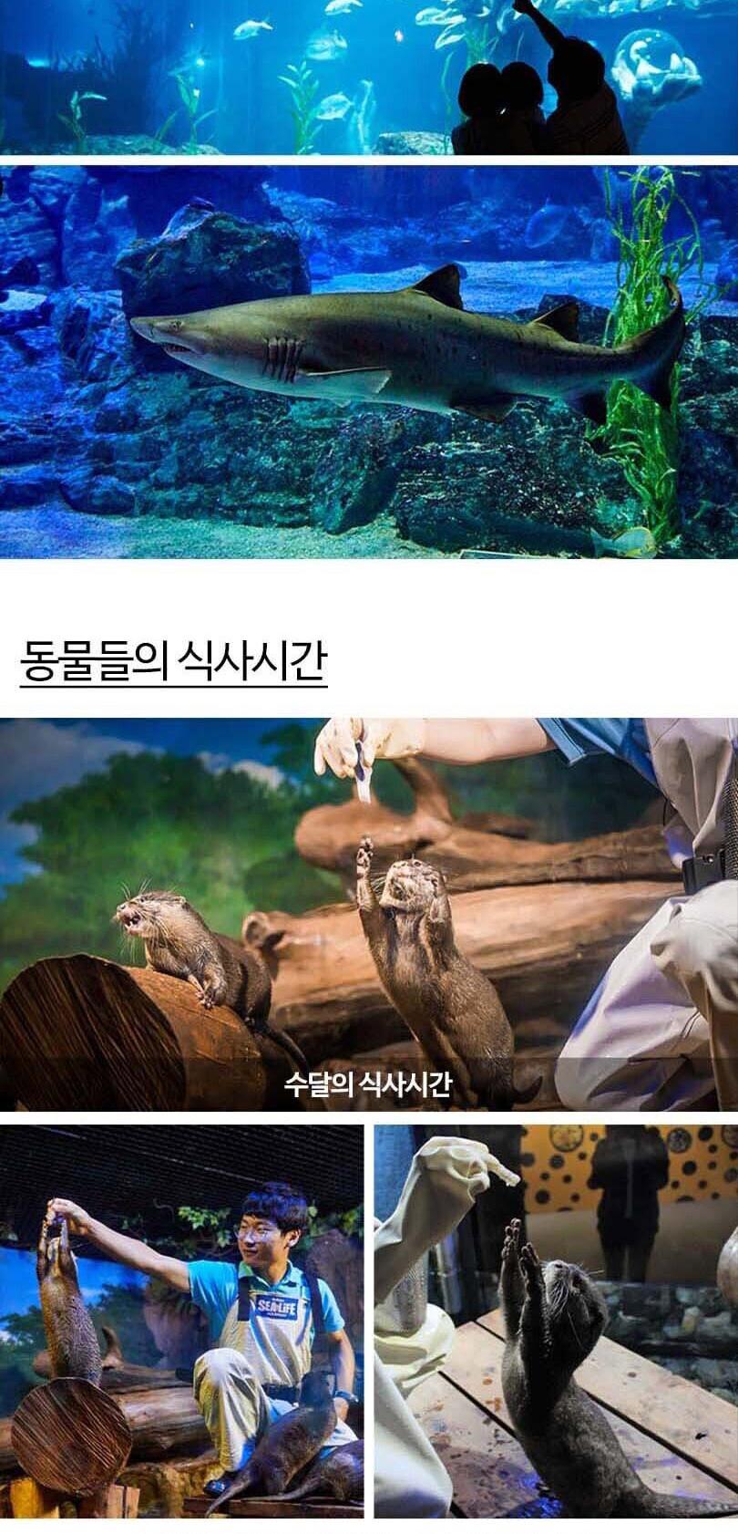 상품 상세 이미지 11