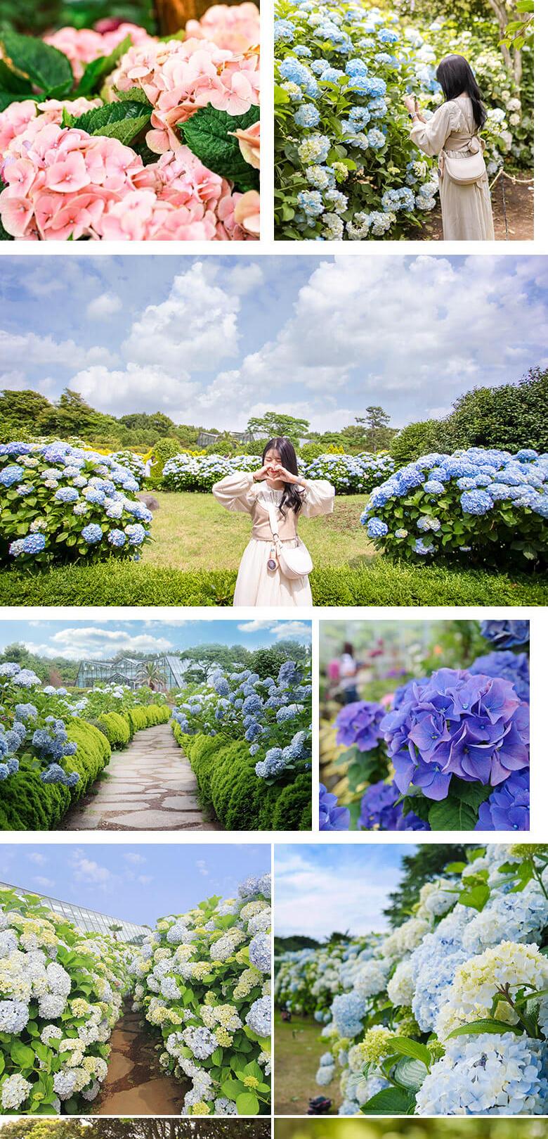 상품 상세 이미지 8
