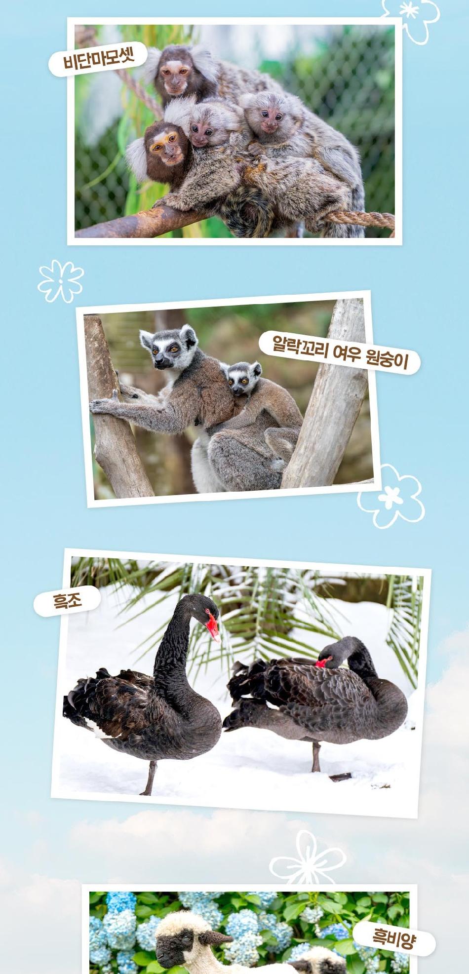 상품 상세 이미지 9