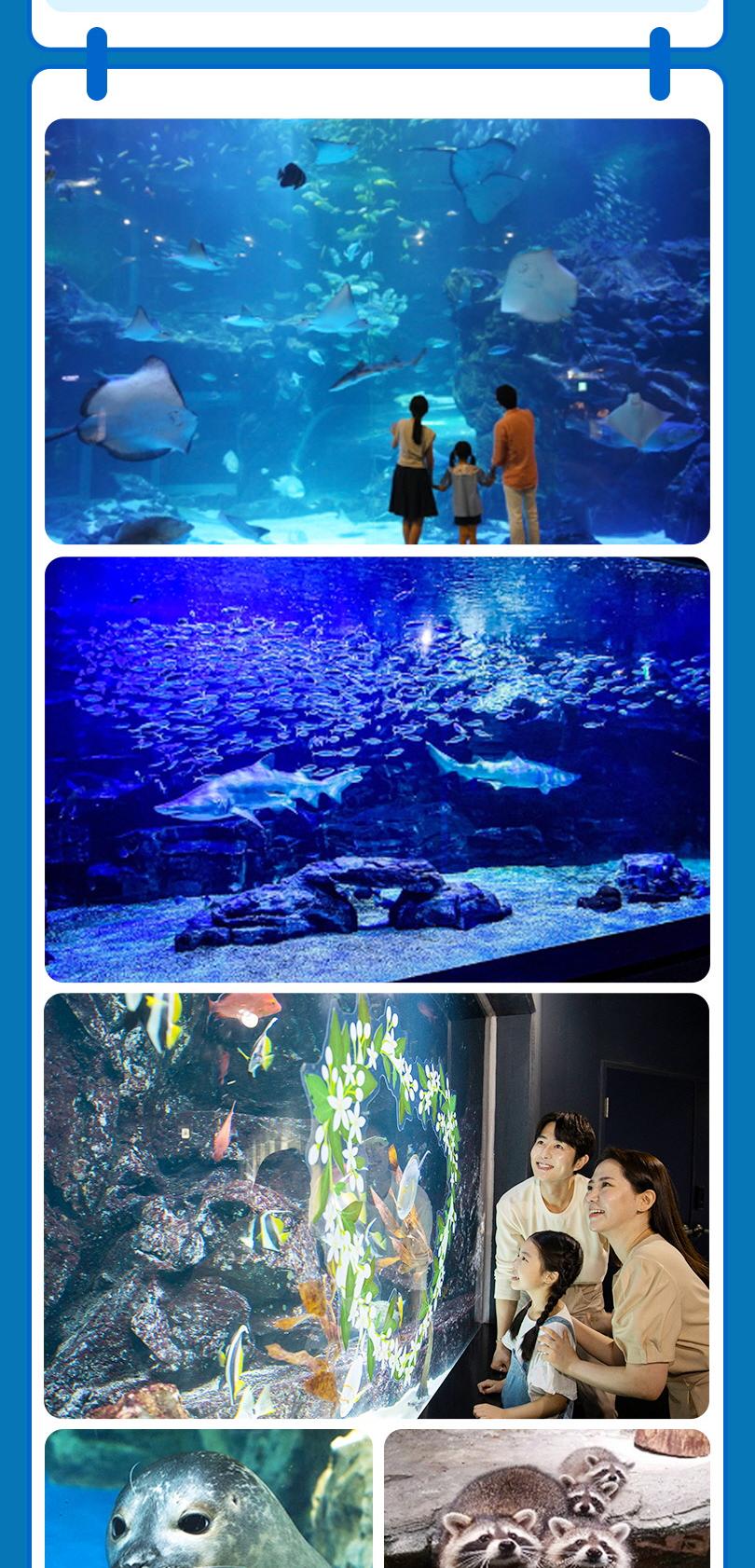 상품 상세 이미지 8