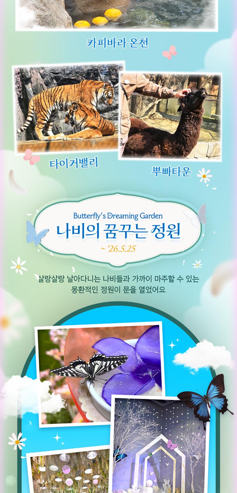 상품 상세 이미지 17