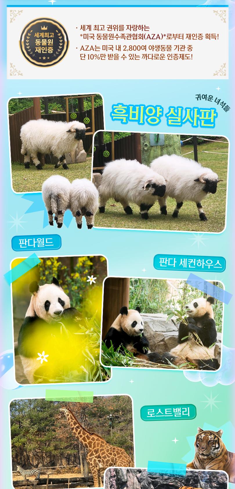 상품 상세 이미지 10