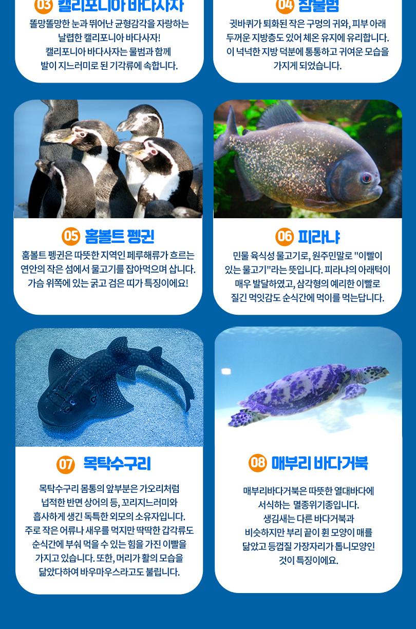 상품 상세 이미지 11